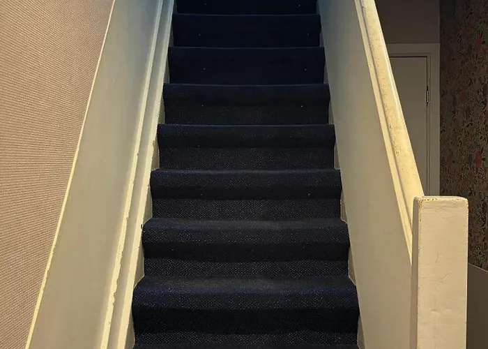 Aadam Wilhelmina Amsterdam