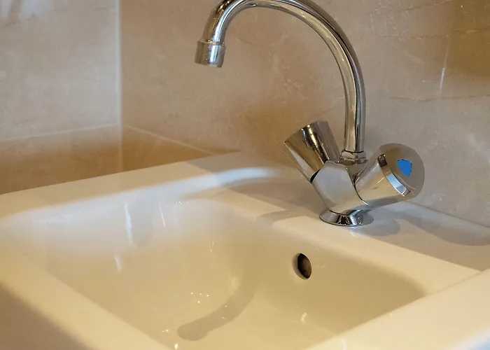 Aadam Wilhelmina Amsterdam